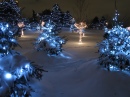 Chinguacousy Park Christmas Lights