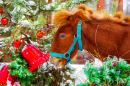 Redhead Pony near a Christmas Tree