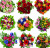 Colorful Flowers Bouquets